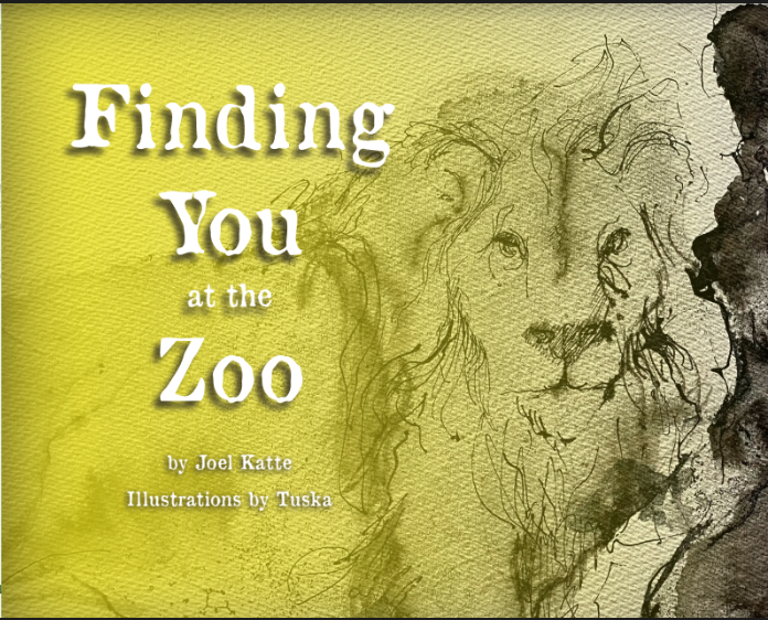 Finding you at the Zoo book cover